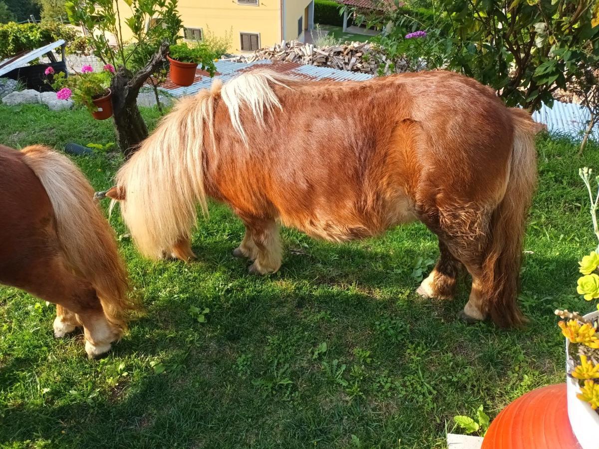 Casa De Ferrapilhe Villa Paranhos  Eksteriør bilde